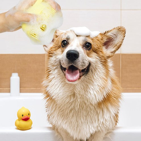 Pet Shop Hub™ Furry Bath Brush
